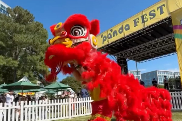 Thumb_-_Panda_Fest_2026.jpg