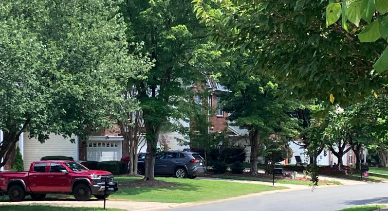 A tree-lined Charlotte Neighborhood
