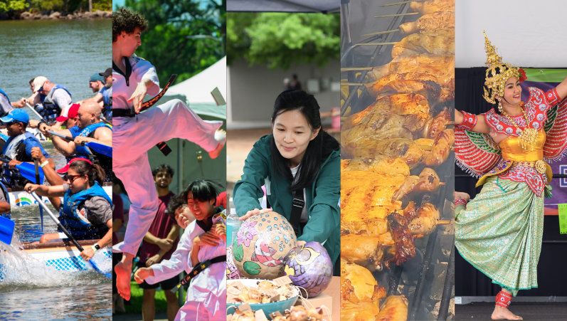 Asian Festival - montage of images from the 2025 festivals