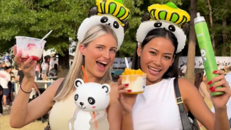 Visitors at the 2025 Charlotte Panda Fest